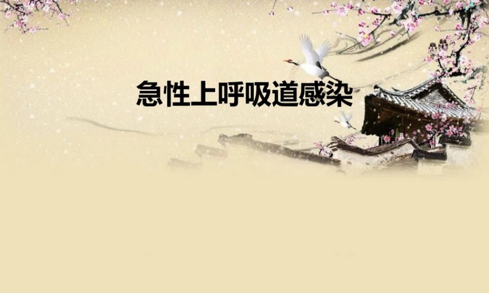 上呼吸道感染.ppt