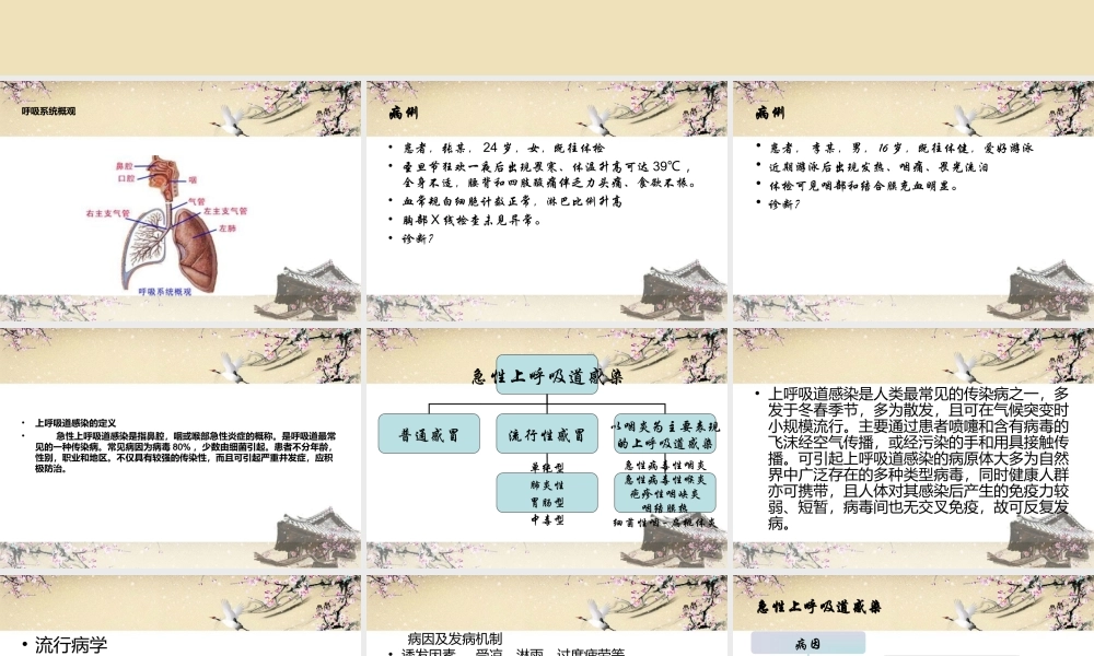 上呼吸道感染.ppt