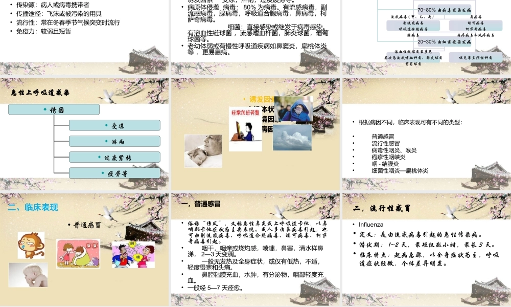 上呼吸道感染.ppt