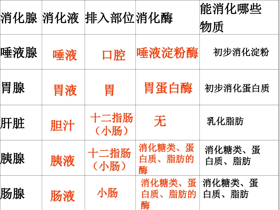 消化和吸收2-Microsoft-PowerPoint-幻灯片.ppt_第1页