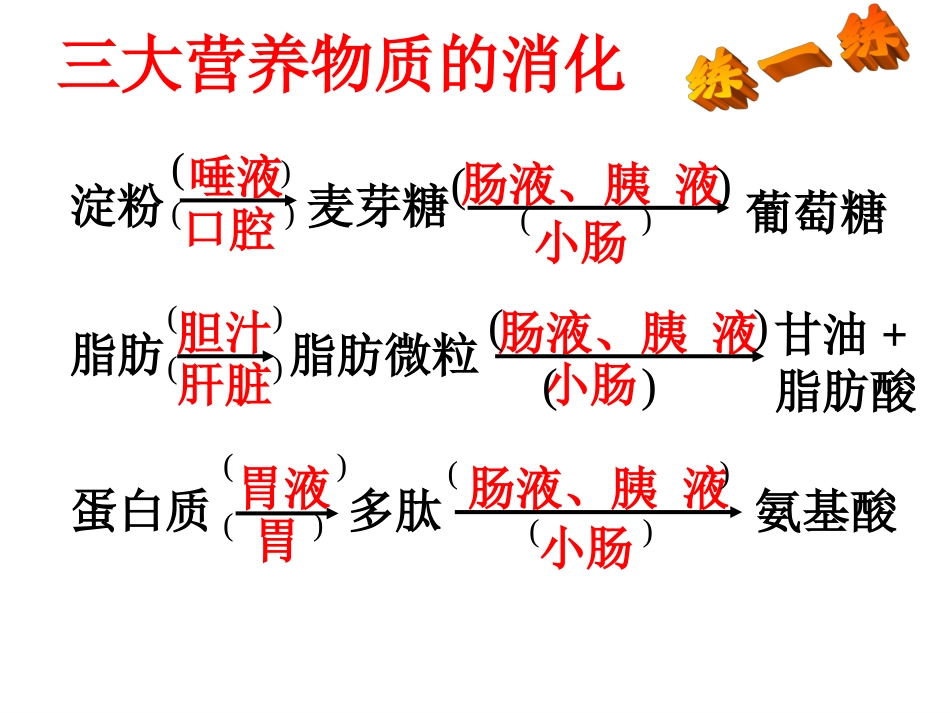 消化和吸收2-Microsoft-PowerPoint-幻灯片.ppt_第2页