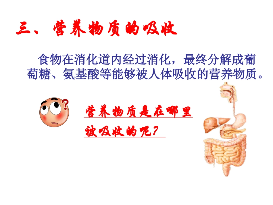 消化和吸收2-Microsoft-PowerPoint-幻灯片.ppt_第3页