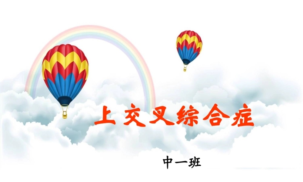 上交叉综合症.ppt