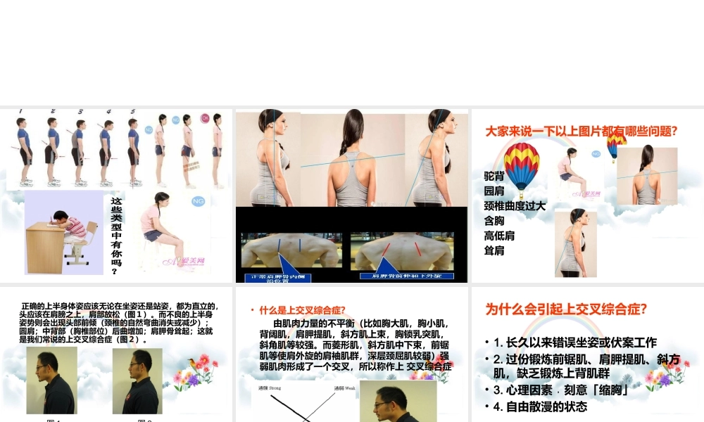 上交叉综合症.ppt