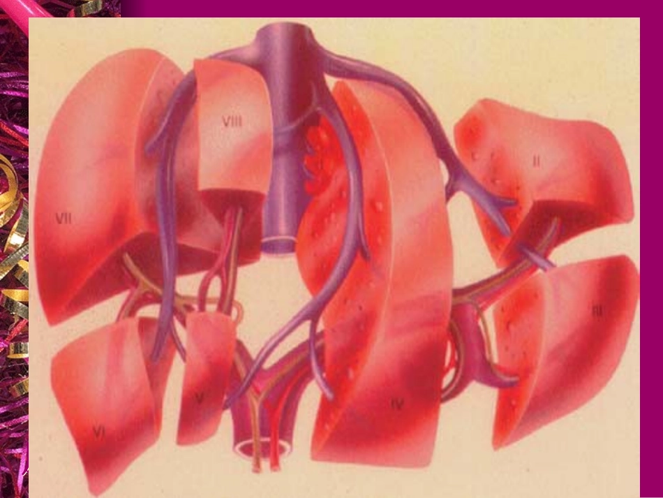 消化系统(肝胆胰)-1.ppt_第3页