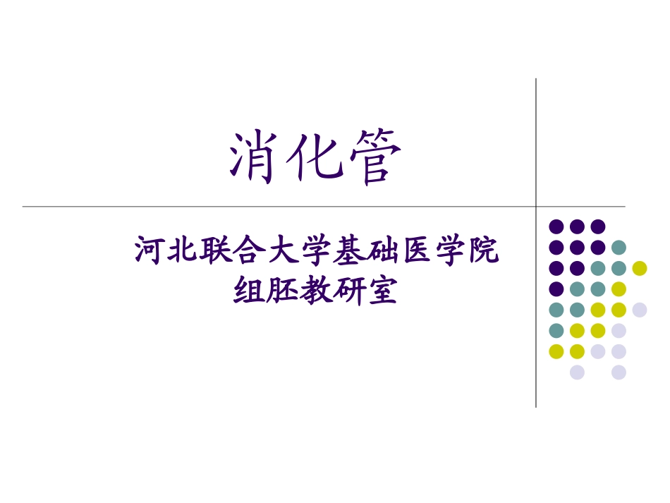 消化管48-2011.ppt_第1页