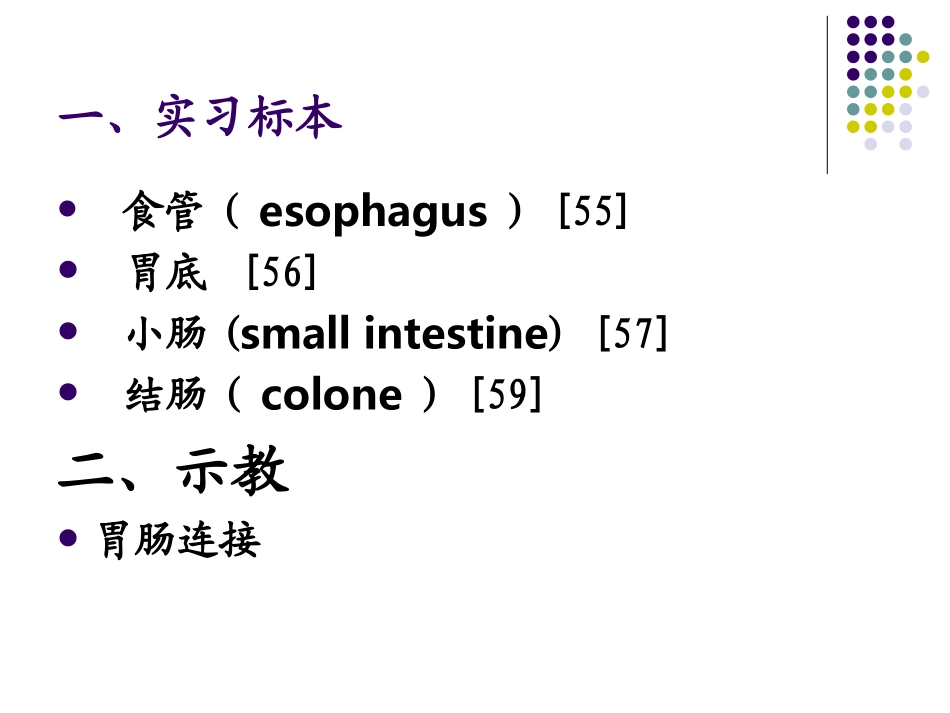 消化管48-2011.ppt_第2页