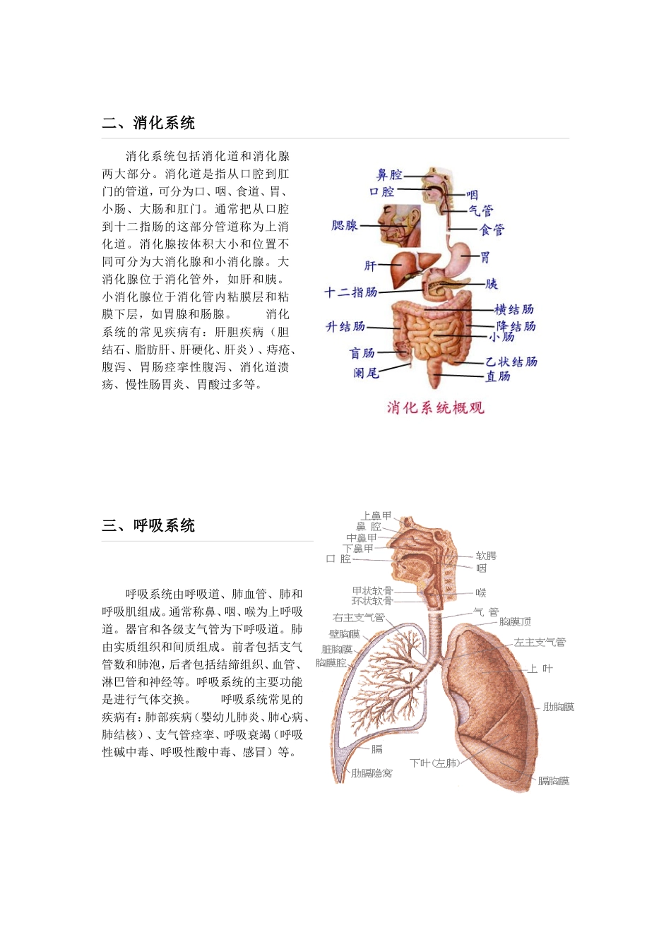 人体九大系统.doc_第2页