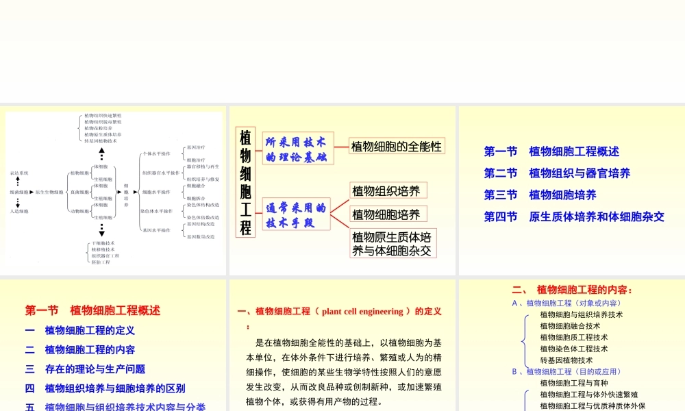 xb四、植物组织与细胞培养.ppt