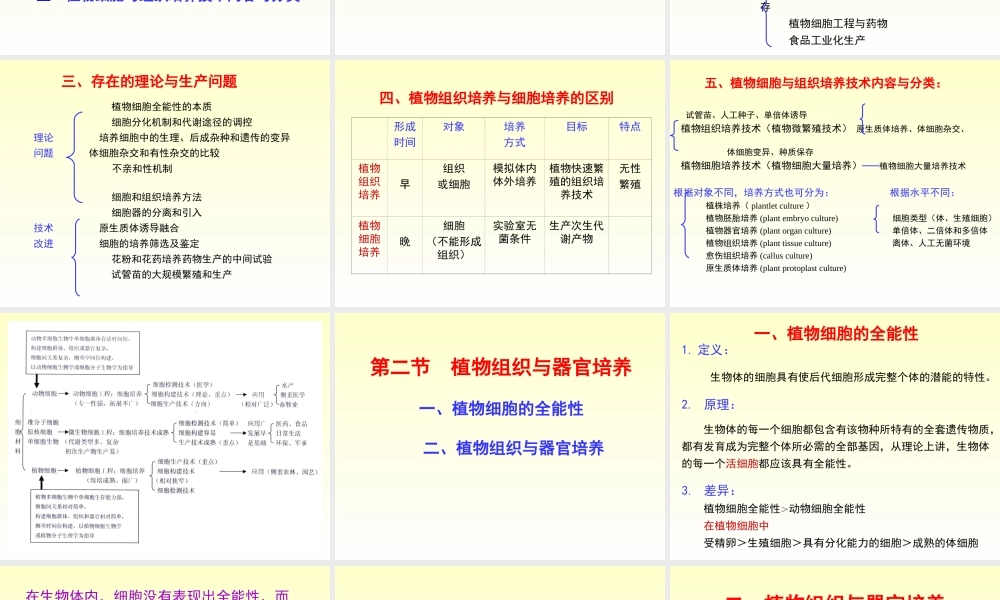 xb四、植物组织与细胞培养.ppt