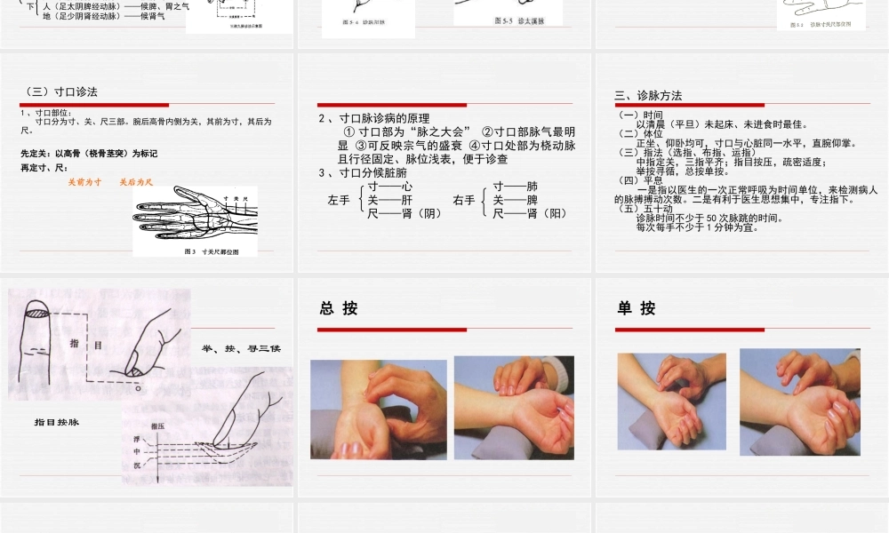 【密训】中诊06.脉诊.ppt