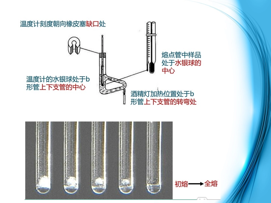 新药开发的质量标准概论.ppt_第3页