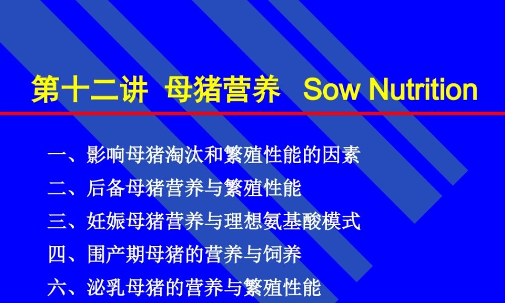 【2019-2020年整理】母猪营养.ppt