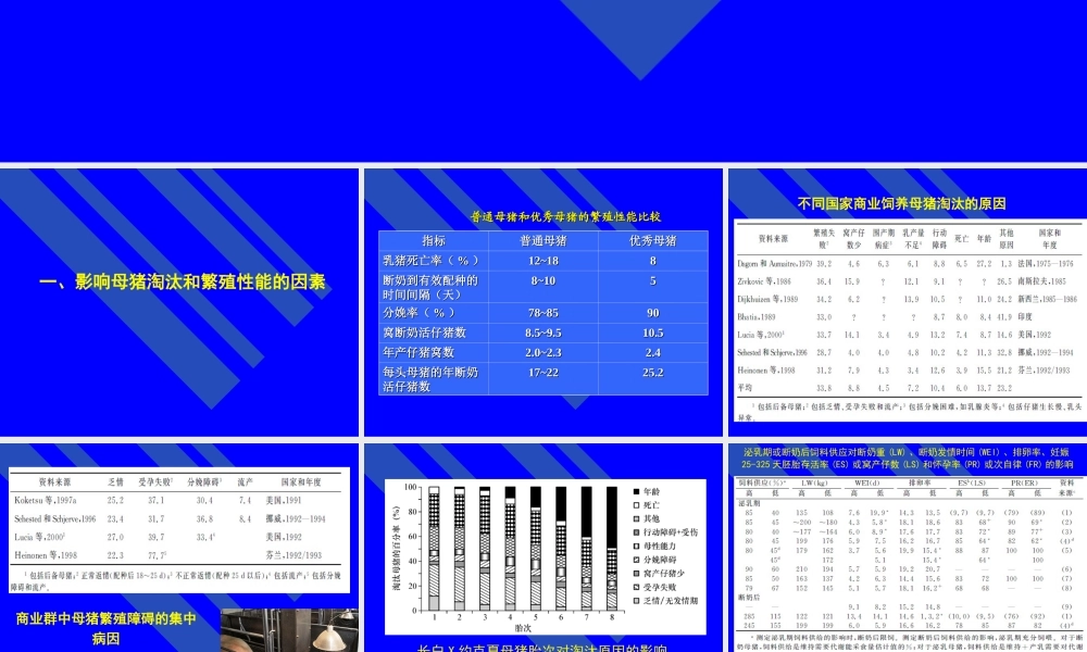 【2019-2020年整理】母猪营养.ppt