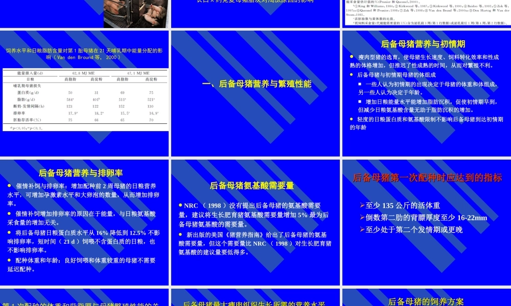 【2019-2020年整理】母猪营养.ppt
