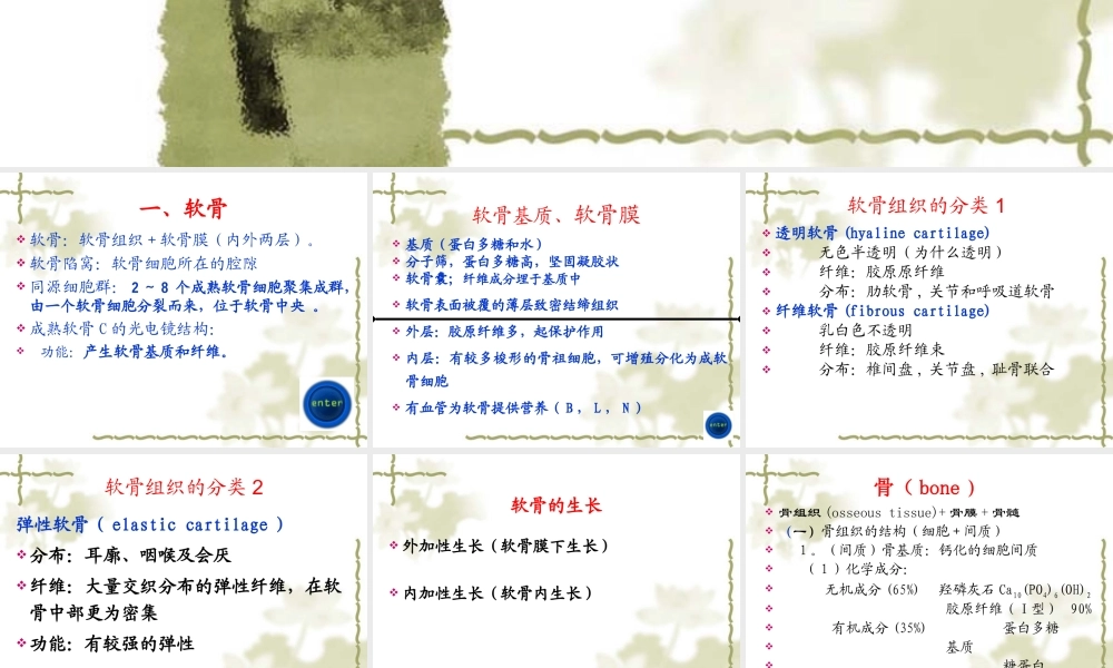 【组织学与胚胎学】软骨与骨.ppt