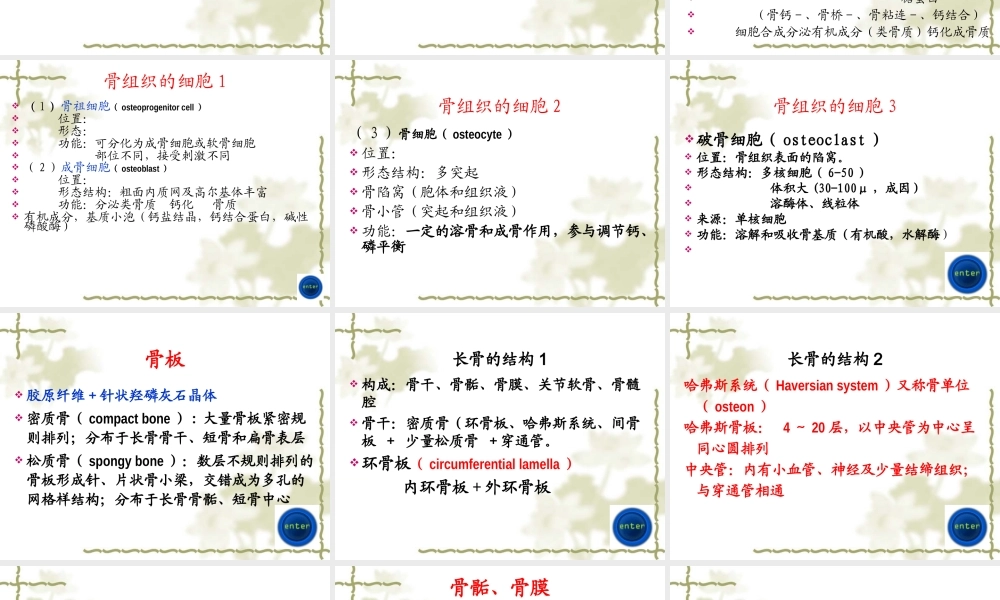 【组织学与胚胎学】软骨与骨.ppt