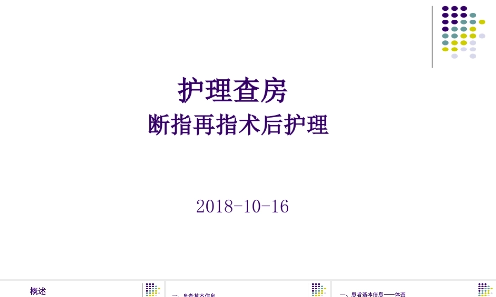 个案查房模板---副本.pptx