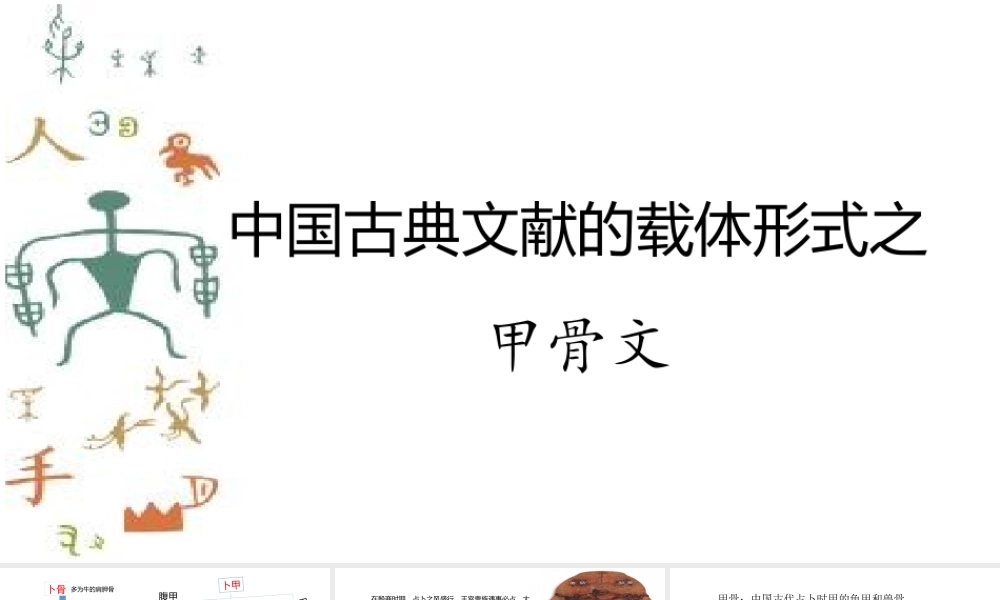 中国古典文献的载体形式之甲骨文.pptx
