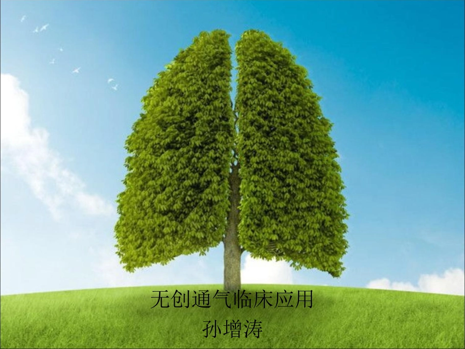 无创呼吸机介绍.ppt_第1页