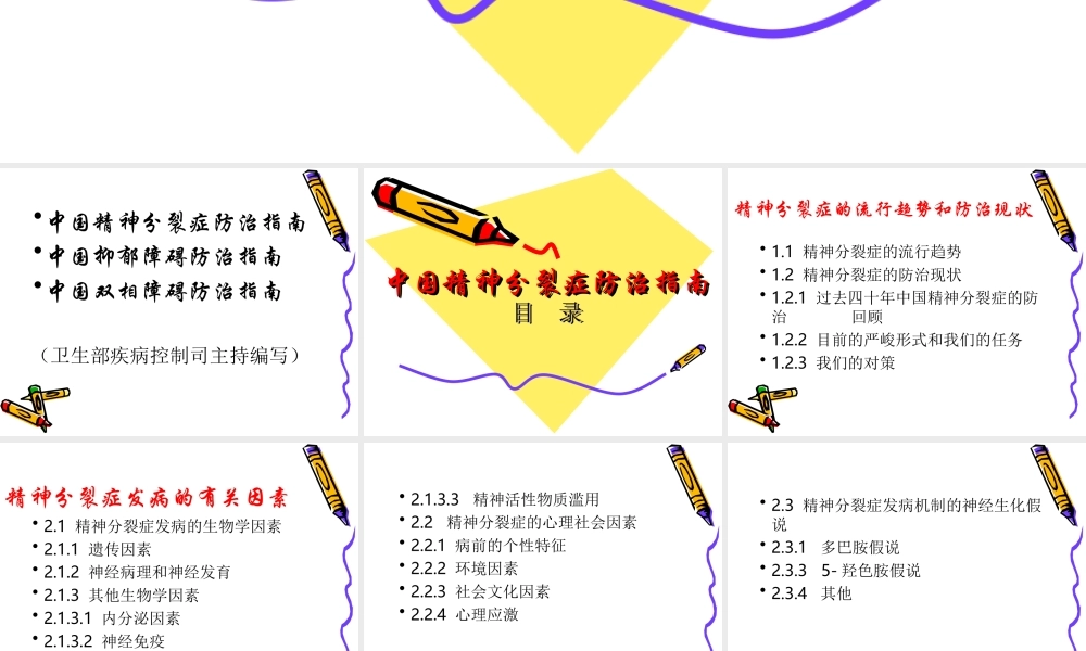 中国精神障碍防治指南.ppt