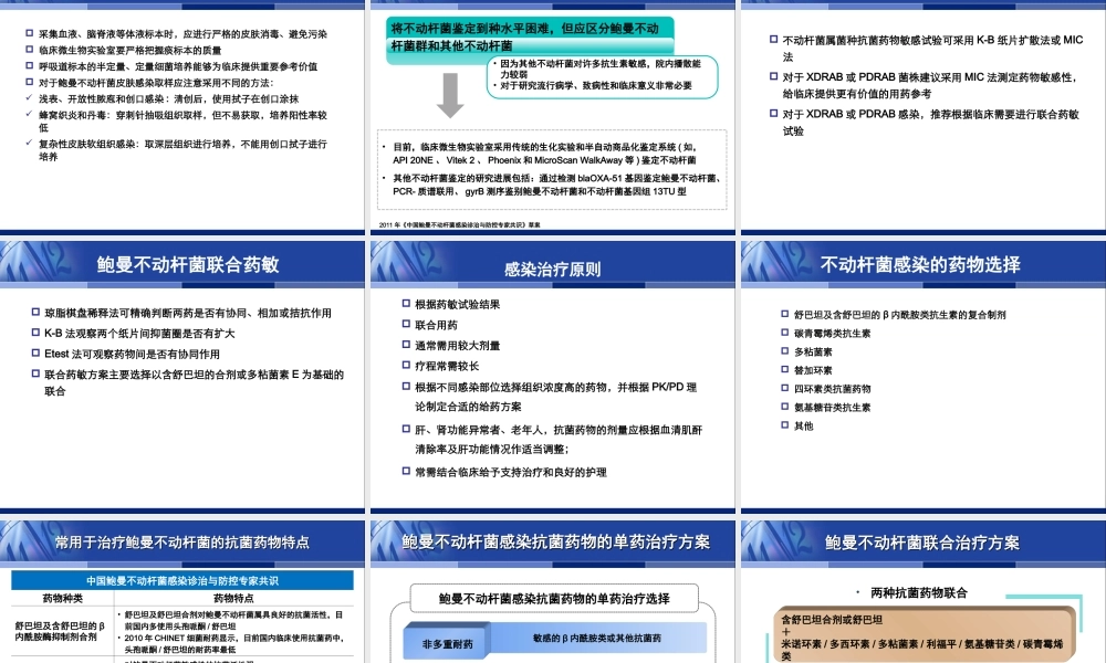 中国鲍曼不动杆菌感染诊治与防控专家.ppt