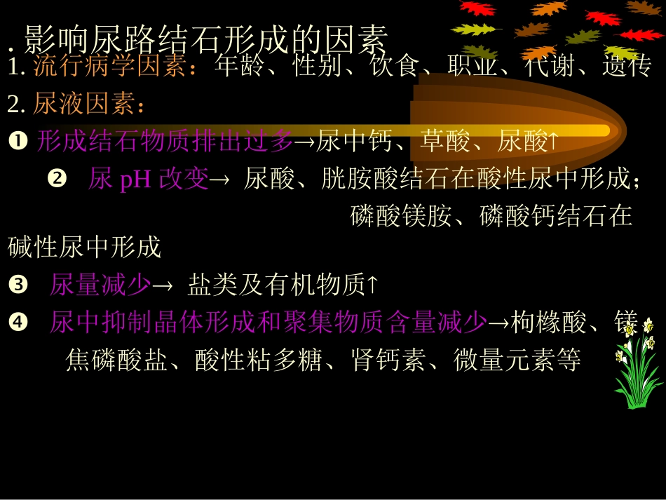 新版泌尿系统结石-结核.ppt_第2页