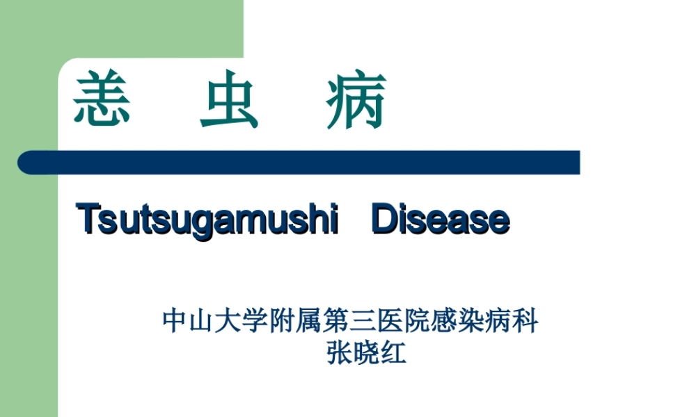 中山大学恙虫病分析.ppt