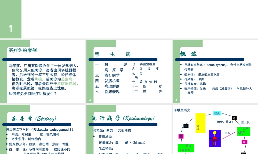 中山大学恙虫病分析.ppt