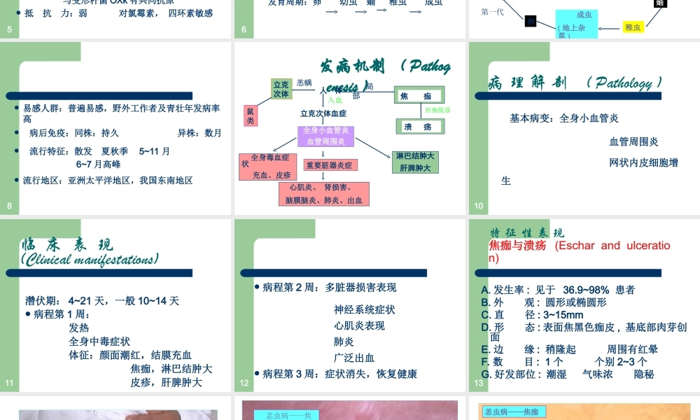 中山大学恙虫病分析.ppt