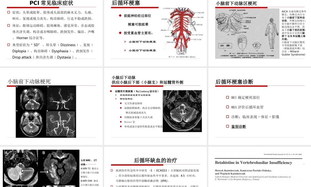 中枢性眩晕诊治.ppt