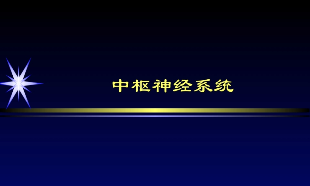 中枢神经系统1(详细).ppt