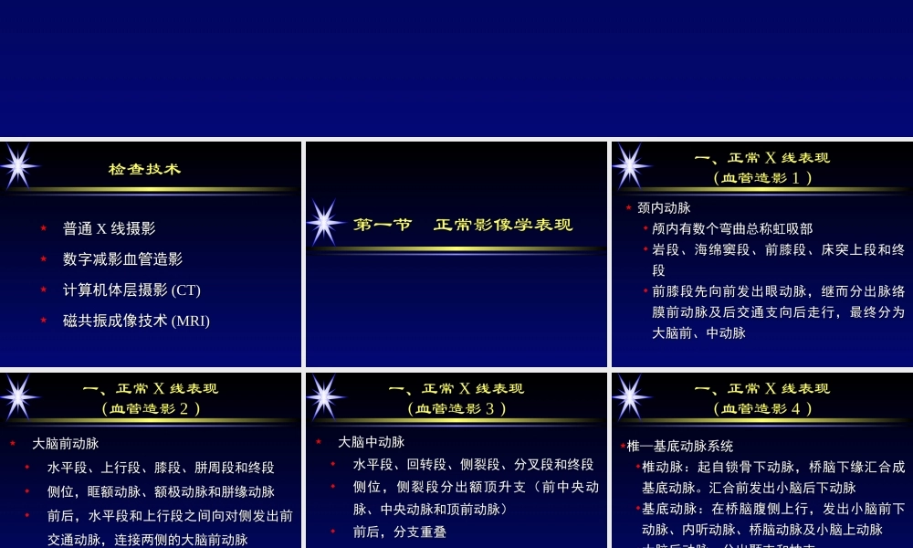 中枢神经系统1(详细).ppt