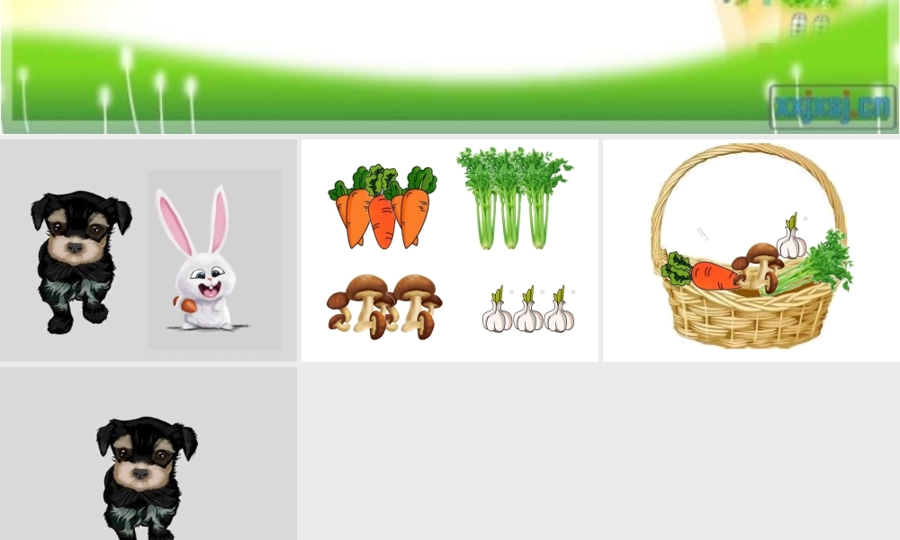 中班健康-多吃蔬菜身体好.pptx