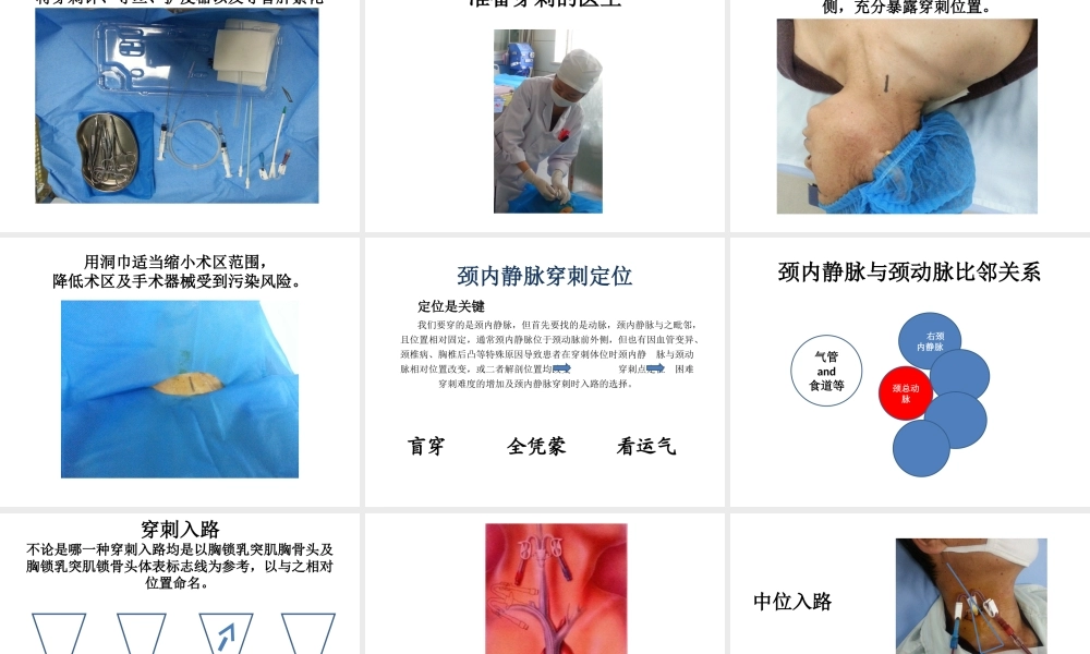 临时血液透析导管置管术.ppt