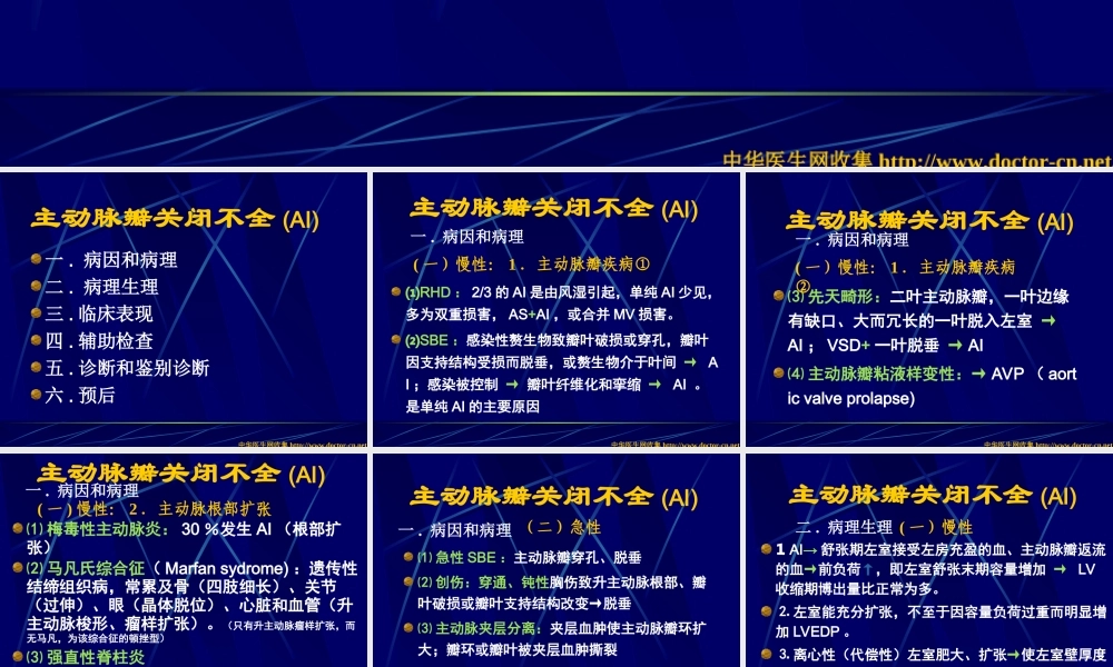 主动脉瓣关闭不全(AI)(精).ppt