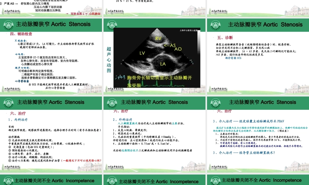 主动脉瓣膜病.ppt