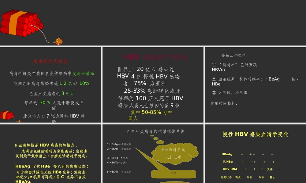 乙型肝炎的防与治.ppt