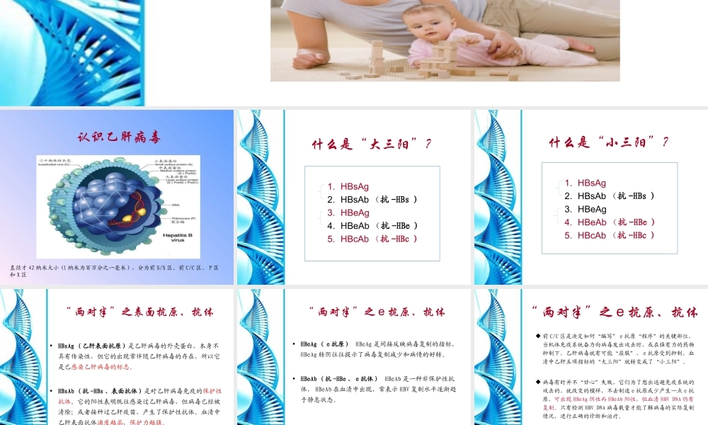 乙型肝炎母婴阻断基础知识.ppt