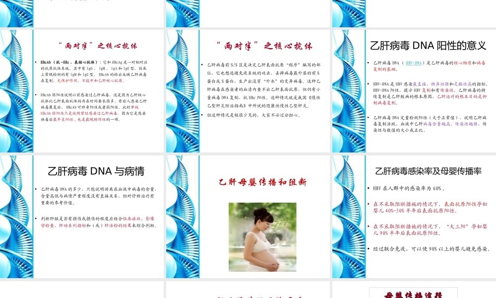 乙型肝炎母婴阻断基础知识.ppt