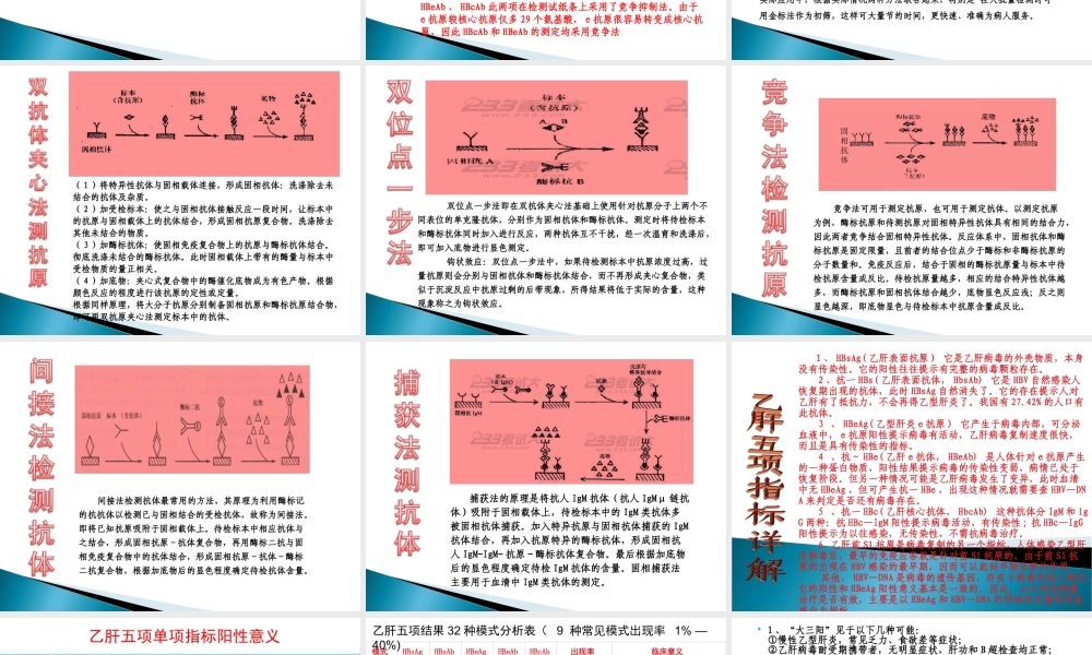 乙肝五项修改版.ppt