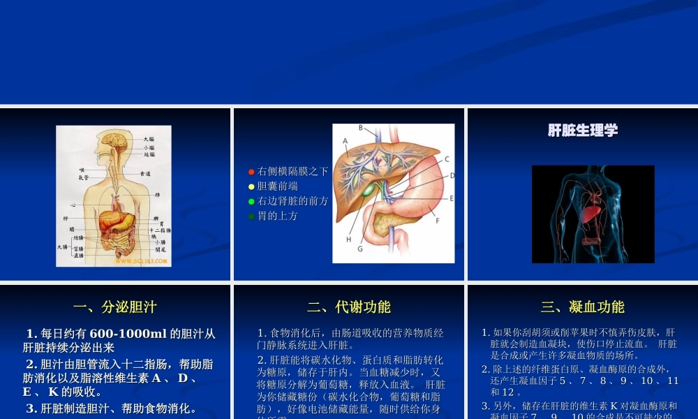 乙肝基础知识讲座.ppt