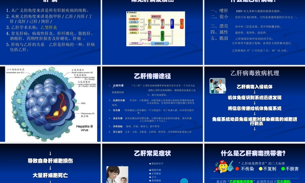 乙肝基础知识讲座.ppt