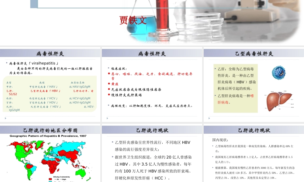 乙肝检验123(贾铁文).ppt