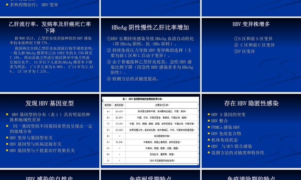 乙肝的流行病学与.ppt