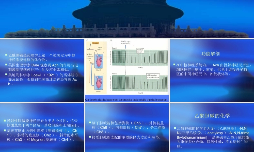 乙酰胆碱-2.ppt