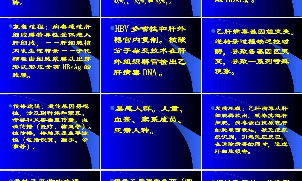 乙肝科普讲座.ppt