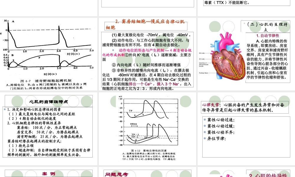 九章血液循环-PPT文档资料.ppt