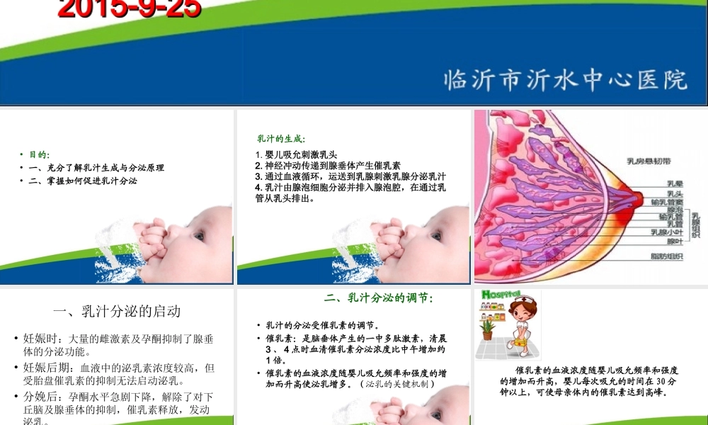 乳汁的生成与分泌.ppt