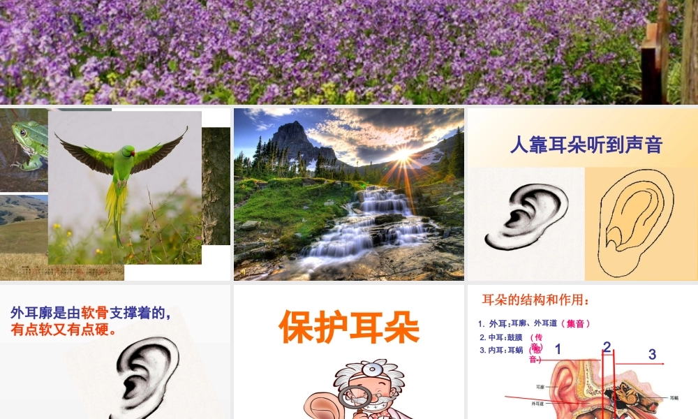 二年级保护耳朵好.ppt